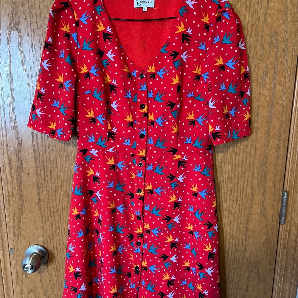 European brand button-up mini dress.